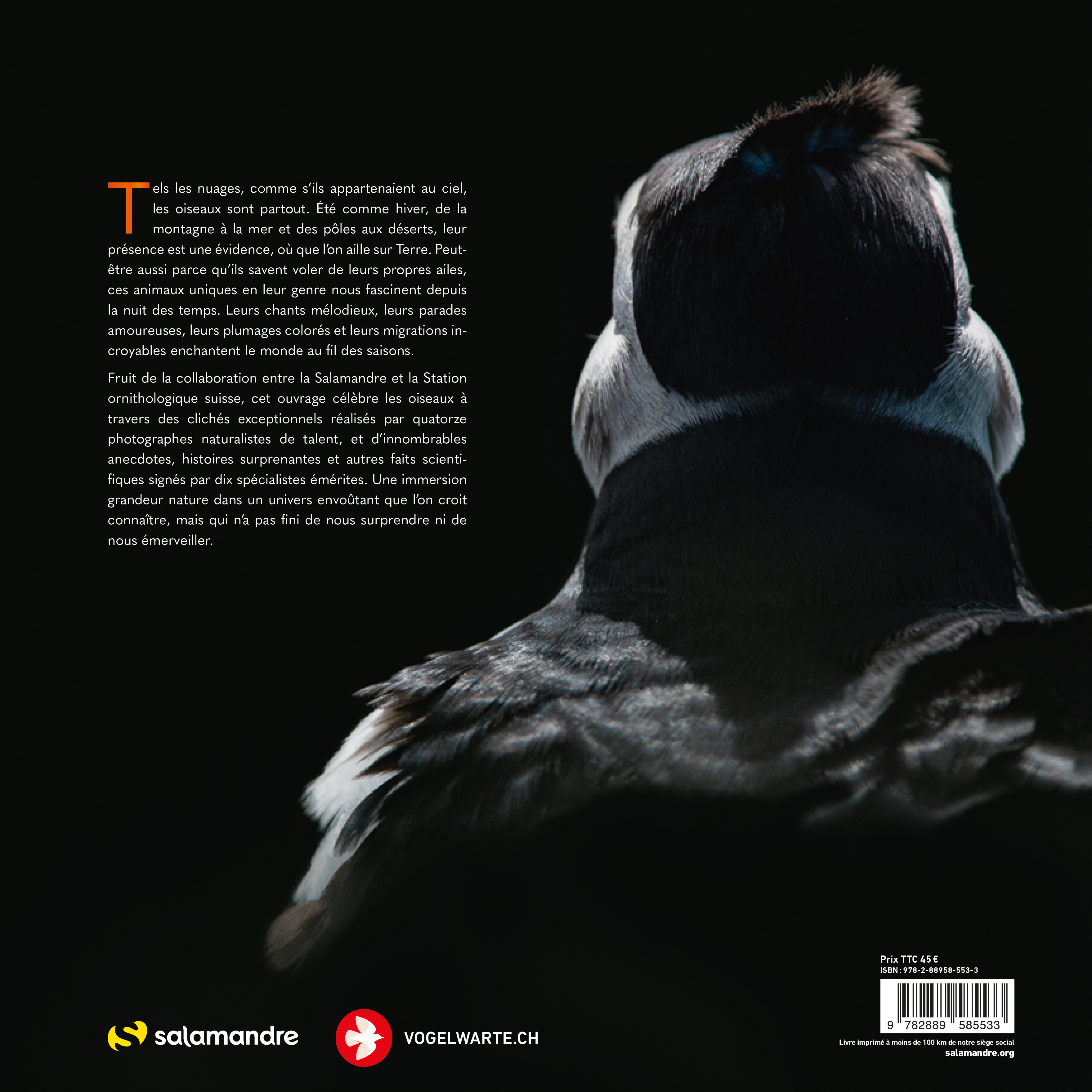 Extraordinaires oiseaux -  Collectif - LA SALAMANDRE