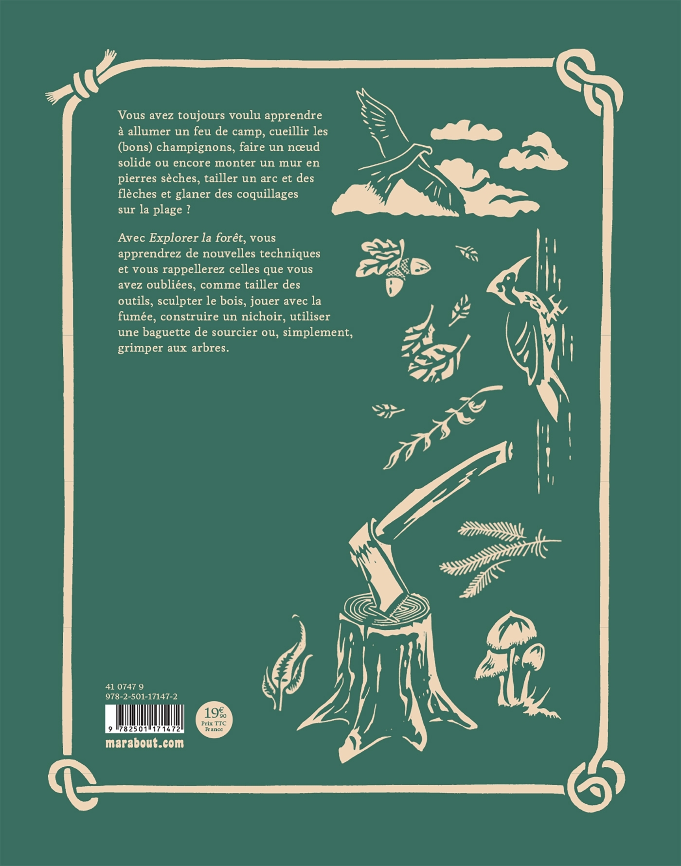 Explorer la forêt - Richard Irvine - MARABOUT