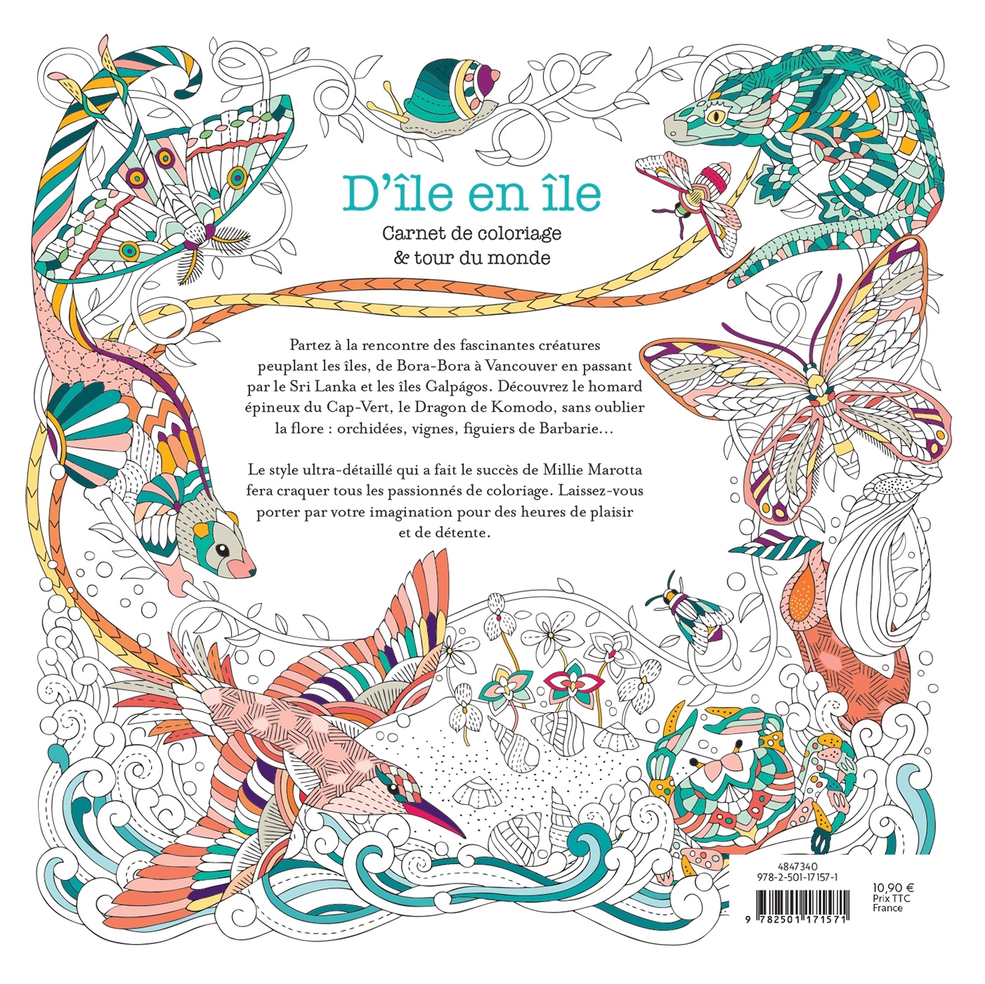 D'île en île - Millie Marotta - MARABOUT